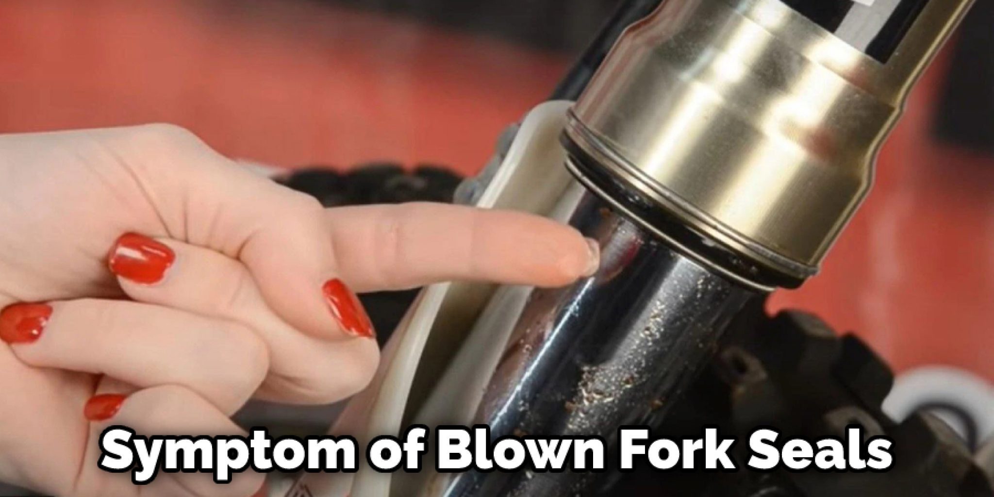 How to Replace Fork Seals on a Dirt Bike Dirt Bike Moto